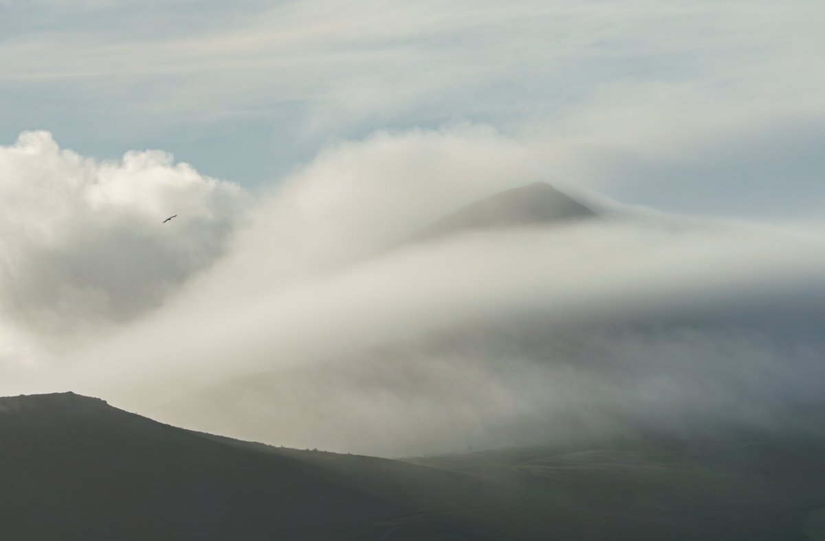 Fog wrapping around Great Sugarloaf, Wicklow 27.10.23 #fog #mountain #wicklowmountains