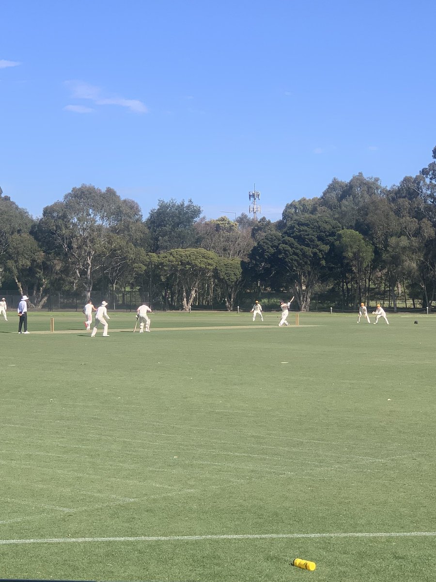 Great start for the 1s in the APS Practice Round. Carey 8-172 (Bharadwaj 3-28) HY 4-174 off 37.3 (Kirkwood-Scott 68 off 43). 2s also cruised home by 9 wickets chasing 140 with fine 60s from Raza and Weerasiri.