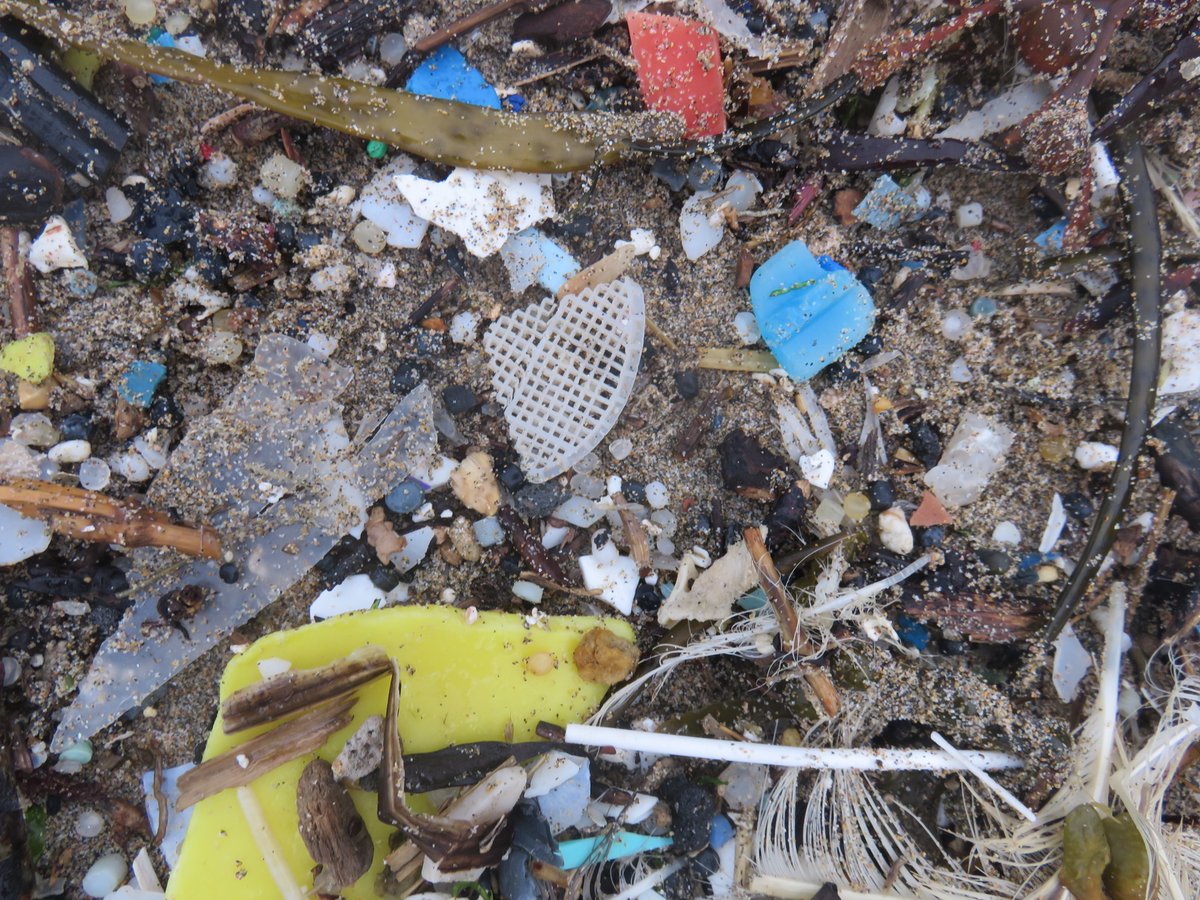 Lego Lost At Sea tweet media