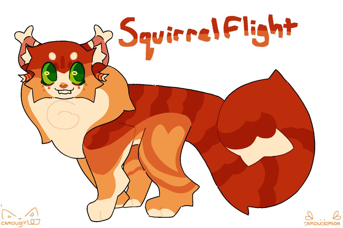 camoucrimson's tweet photo. Squilf my silly! #warriorcats #squirrelflight #squilf https://t.co/3c69pq0g3G