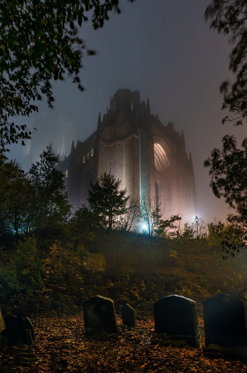LiverpoolVista's tweet photo. 🍂Good morning from #Liverpool. Early Autumn stroll through the old St James' Cemetery (opened 1829) and former quarry until 1825. Now a Grade I Historic Park. Up above is Liverpool Cathedral🍂 https://t.co/KfVEaPinhq