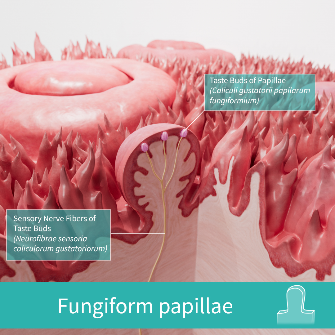 3D4Medical tweet picture