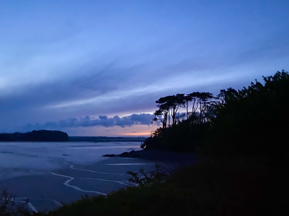 End of half term has snuck up quickly. We hope you've all had a lovely time. To book bikes call: 01208 813050 #sunrise #wadebridge #padstow #cameltrail #bikehire #cyclehire #halftermcornwall #thingstodoincornwall #twowheels #cycling #cornwall