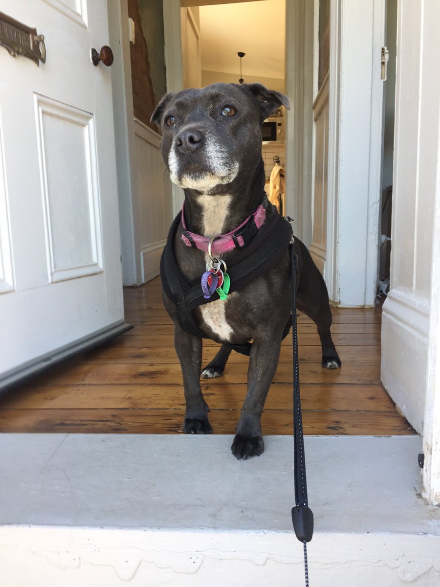 Mark Brandi tweet media