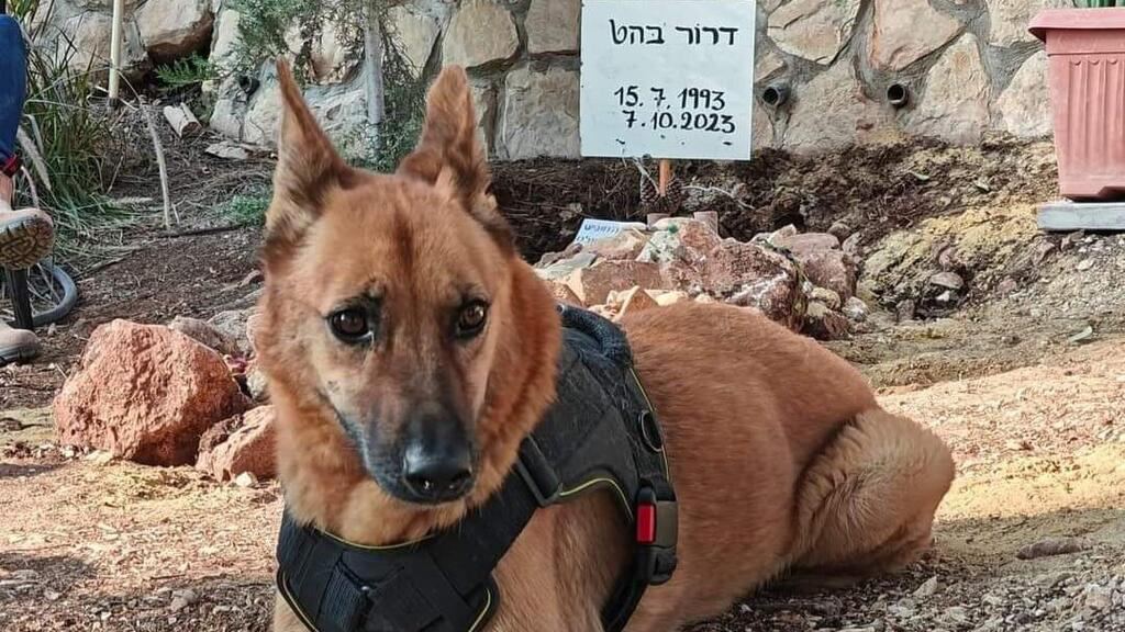 🇮🇱 New meaning to the term 'man's best friend!'

Dror Bahat was among the Israeli victims of the Oct. 7 music festival massacre by Palestinian Hamas. His dog Rider, broken-hearted from losing his owner, won't leave his gravesite. 🐶❤️  #VictimsOfTerror

subscribe to @DailyIsrael