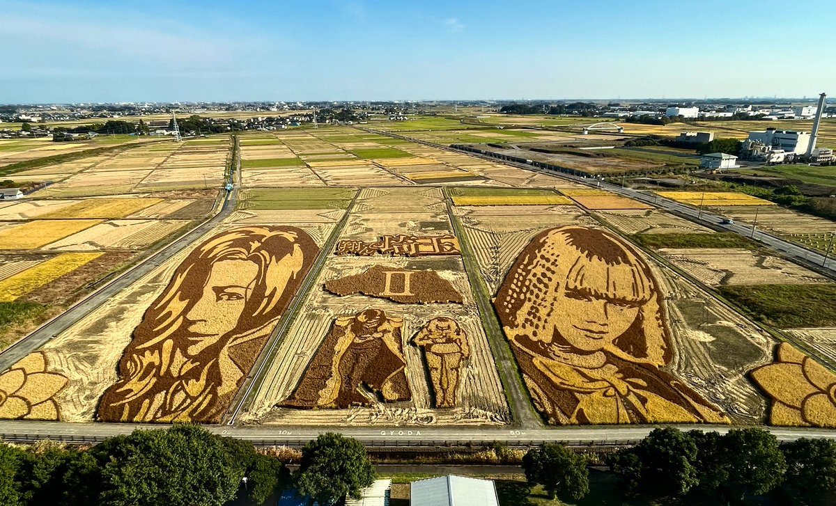 せっかくベルクで #翔んで埼玉 のキャンペーン中なので埼玉県行田市の田んぼアート見にきました🌾🌾

ちょっ...何これ、すご！👀