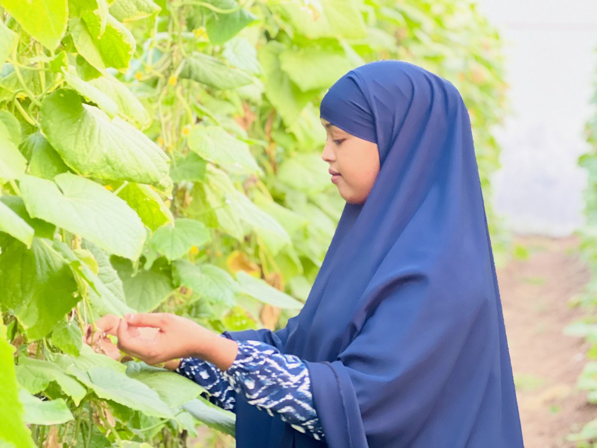 Faizafathi2's tweet image. Asc Waxa nahay dad indhaha kadabolan aan garneyn siday cuntadoda uso saran lahayen👩‍🌾
#Nofarmer #Nofood #Nofuture