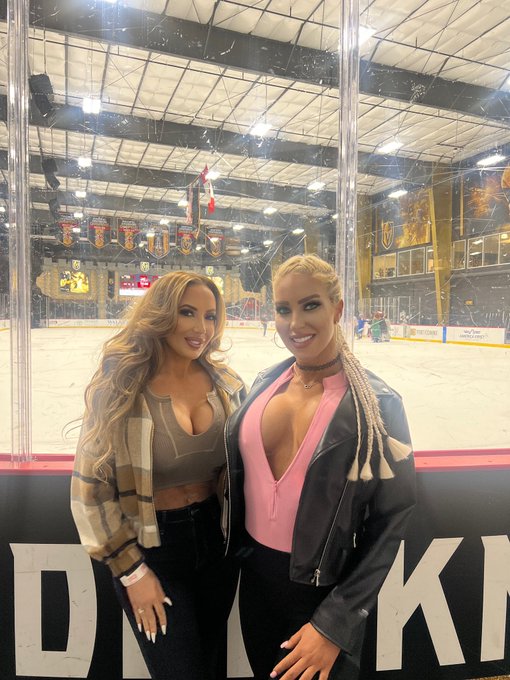 My friend Theresa is the best wing woman and came with me to the @UNLVRebelHockey game tonight so I could<a href="/tag/bigbluepride"class="tags"><span>#bigbluepride</span></a>