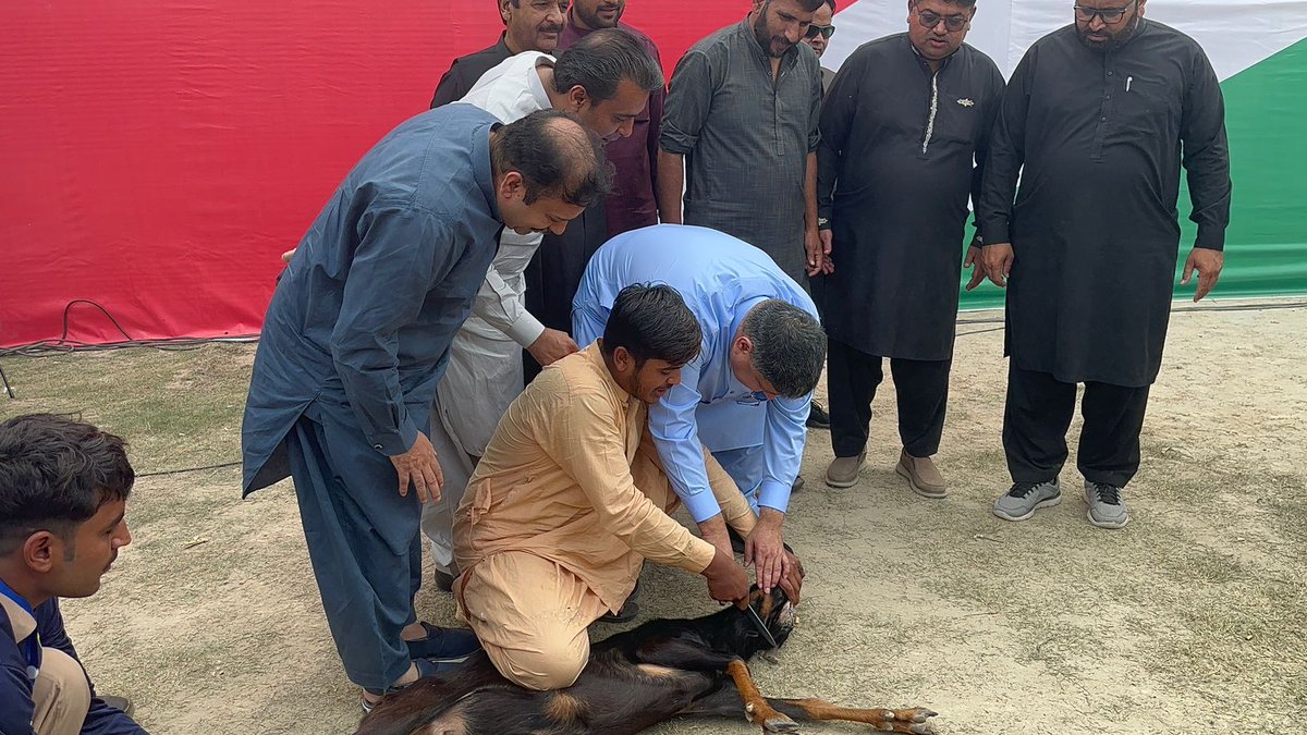 teamaleemkhan's tweet photo. مرکزی رہنما استحکامِ پاکستان پارٹی شعیب صدیقی صاحب نے جہانیاں خانیوال میں جلسہ منعقد ہونے سے پہلے بکروں کا صدقہ دیا۔۔ اس موقع پہ میاں خالد محمود و خانیوال کے مقامی رہنماؤں کی کثیر تعداد موجود تھی۔
#IPPInKhanewal #خانيوال_مانگے_استحکام #IstehkamEPakistanParty https://t.co/LctW9qFAZQ