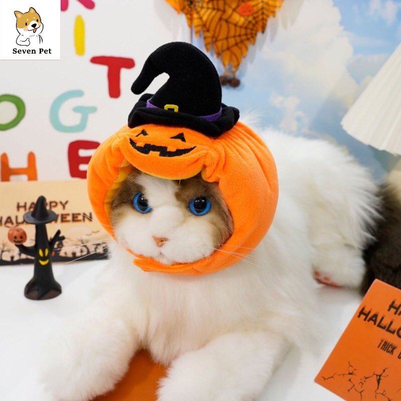 KingNatcha's tweet photo. 🎃หมวกฟักทองฮาโลวีน สําหรับสัตว์เลี้ยง สุนัข แมว🎃
โปรแอป🍊วันนี้ถูก��าก
พิกัด📍 https://t.co/YQm6DIbavc
#ช้อปปี้ถูกชัวร์ #หมวก #ฮาโลวีน2023  #ฮาโลวีน #แมว #หมา https://t.co/OLJ84gsXas