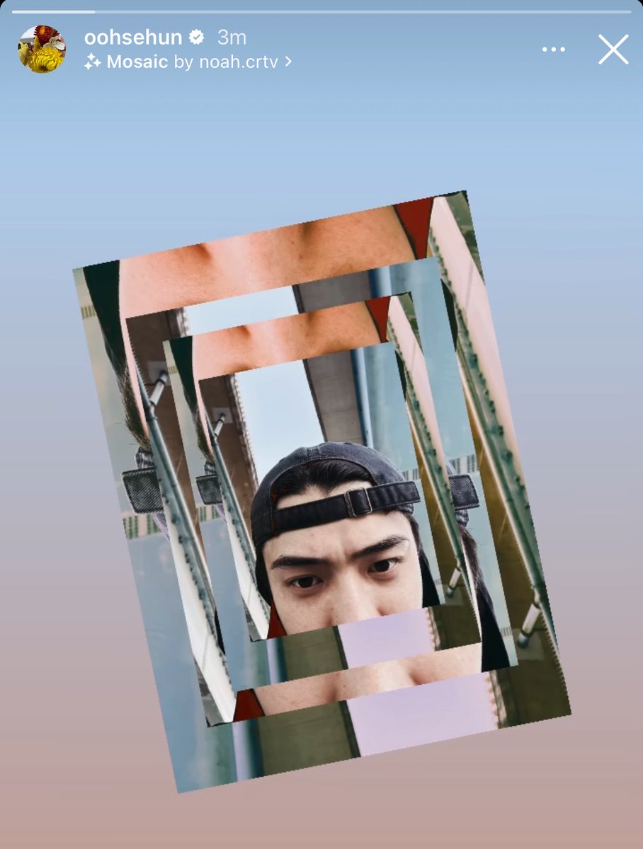 ฮลน𐬹 ⌁ ❀ ༉‧ tweet media