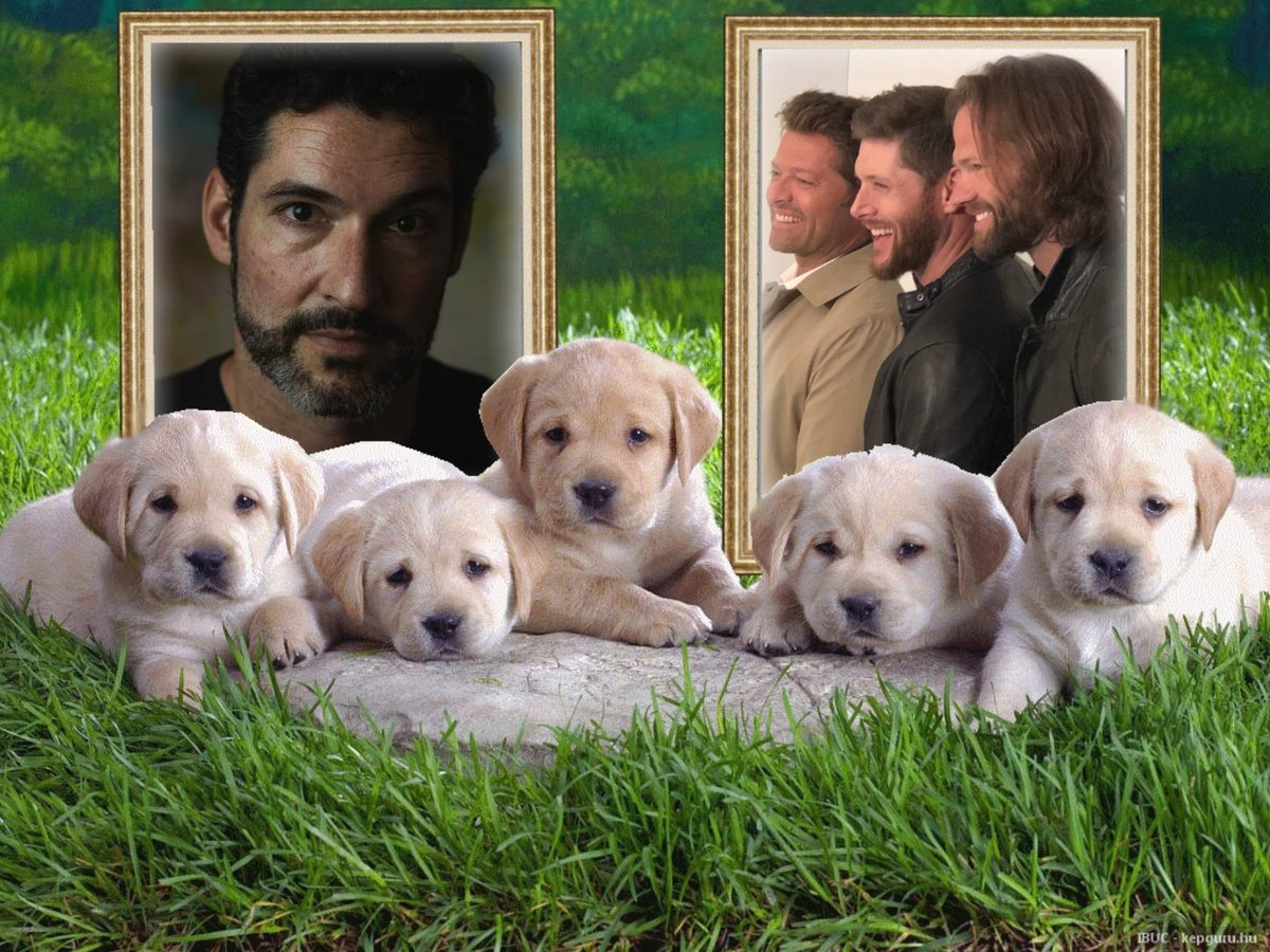 <a href="/GRITSSPNFAM1/">Lynn Cummings #FurBaby 🐶Mom &Family Caregiver</a> <a href="/orangecatcher/">Heather ⛅ Dean of knives 🗡️</a> <a href="/virtue2/">Pam R</a> <a href="/TXTransplant45/">NancIIIIEEE😁♿️🏋🏻‍♀️🍕🐾</a> 
Good Day to you my friends and enjoy you're weekend