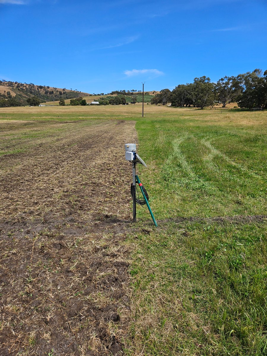 Leighton Wilksch tweet media