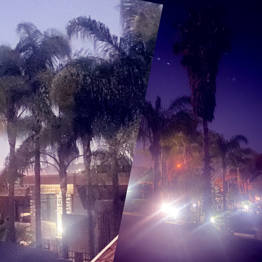 gatvolinthecity's tweet photo. Palm #trees in the evening. #Nightphotography #saturdaymatchday All blacks vs #Springbokke https://t.co/dyge8vCBOo