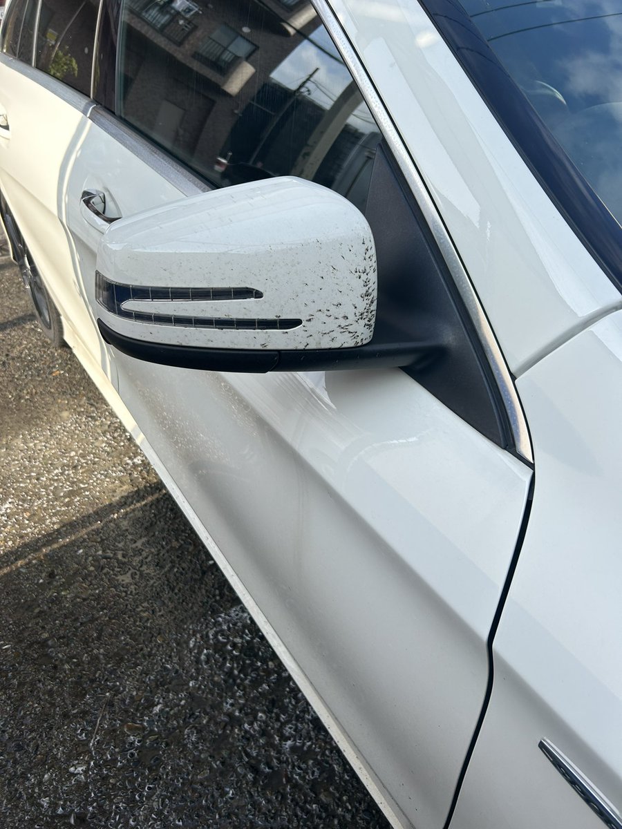 thegedou's tweet photo. 先週洗車したばかりなのに… https://t.co/6utx0rBgY9
