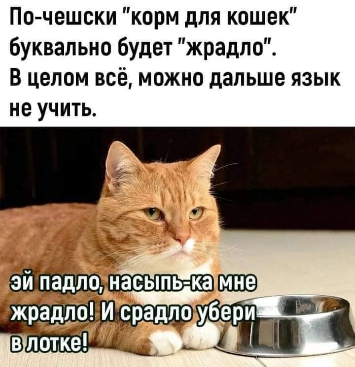 Dona Rumata tweet media