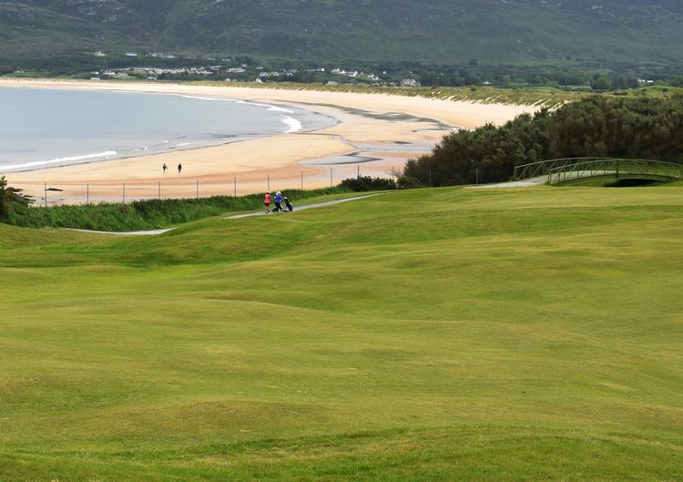 WeLoveDonegal tweet media