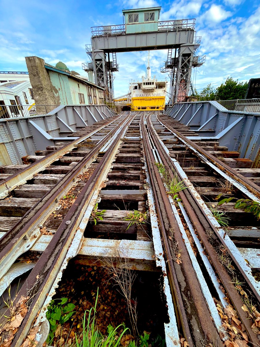 ミシマ tweet media