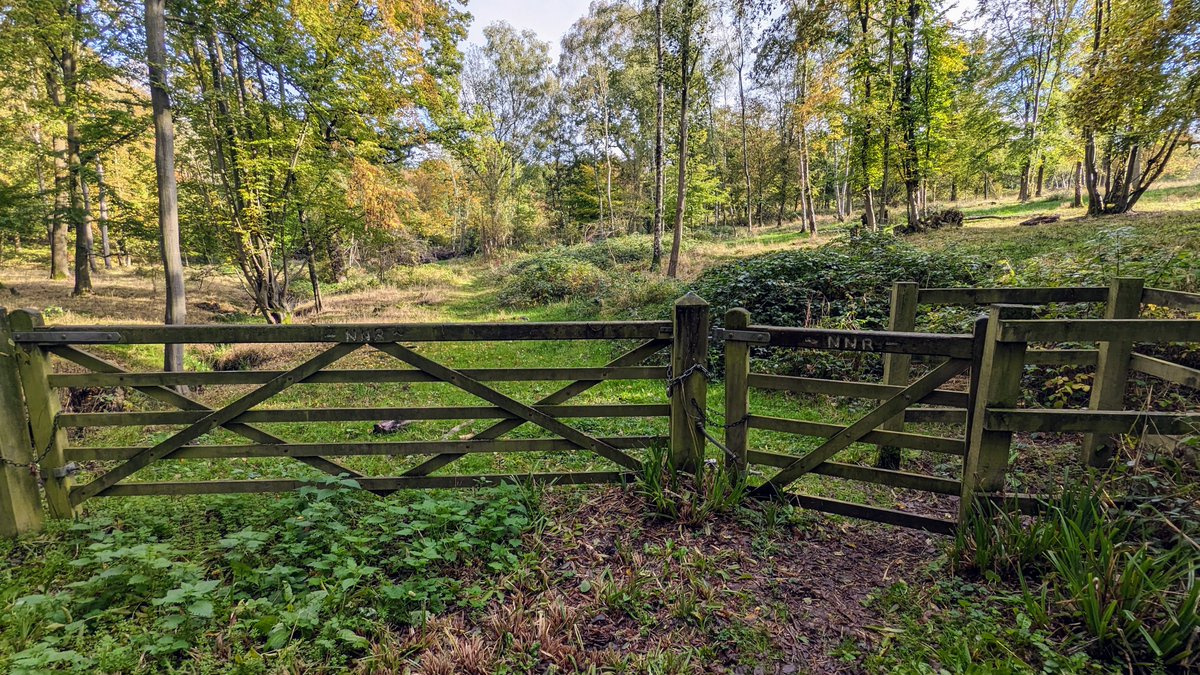 Free short #walk in the #Hertfordshire #countryside. Broxbourne Wood Short Loop is just 1.4 miles starting at a car park and perfect for people who like walking along fairly flat paths. Free to download and enjoy. #Hertfordshirewalks #walkingisfree 
hertfordshirewalker.uk/2018/01/walk-2…