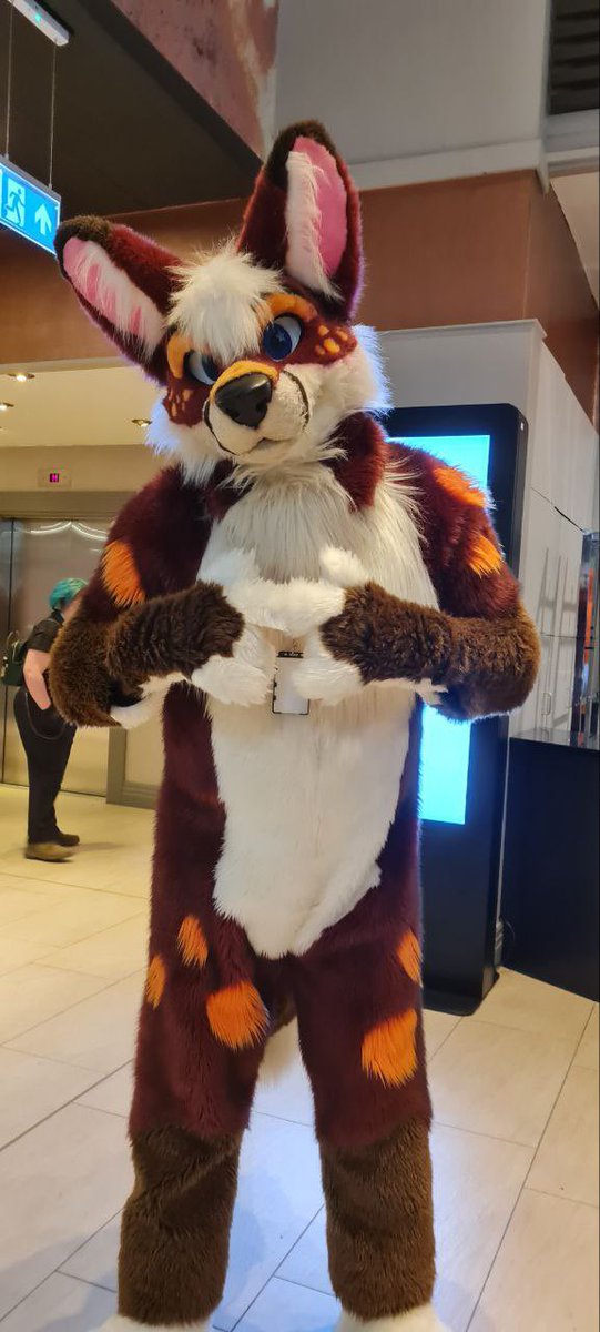 DanzigFops's tweet image. It’s been a while!