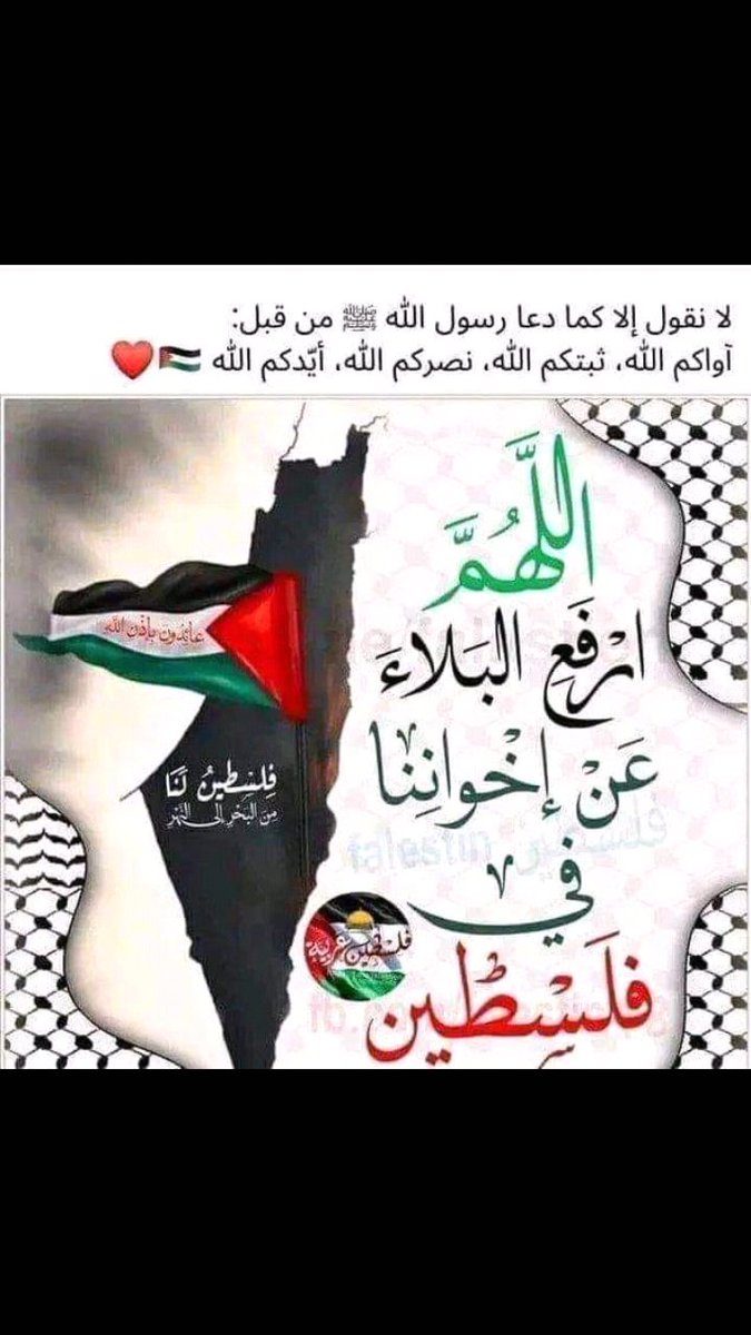 #STARLINKFORGAZA
انسخوا هاد الهاشتاغ
علشان النت يوصل لغزة