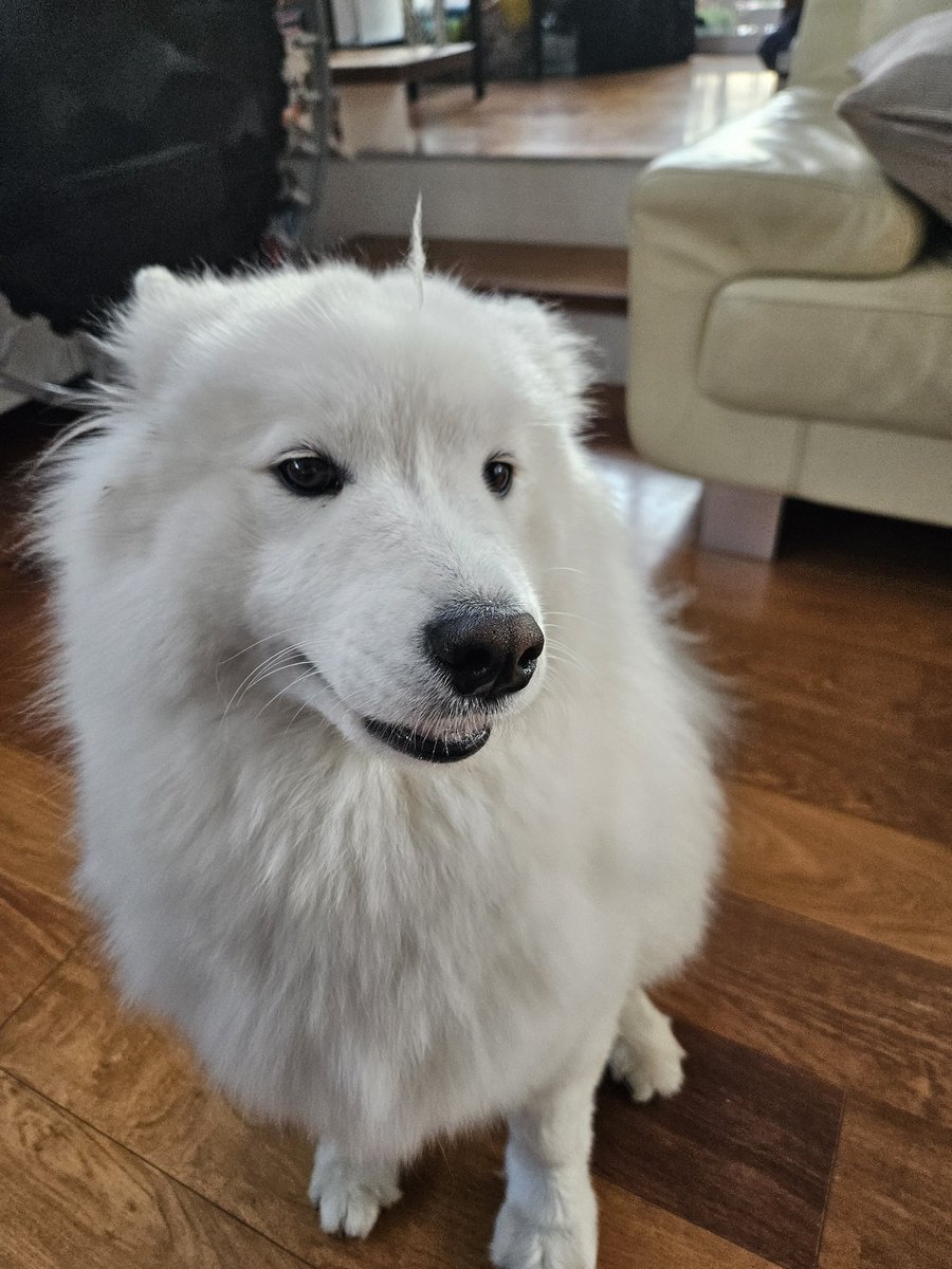 近くに妖怪が？！！