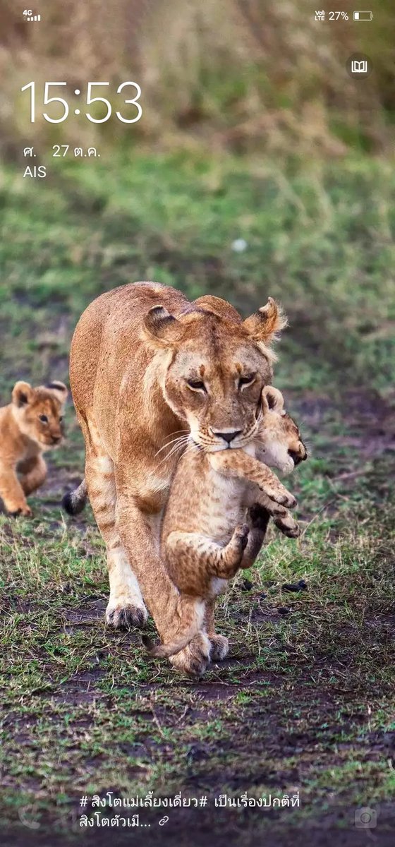 Green26vanVIP's tweet image. เหงา