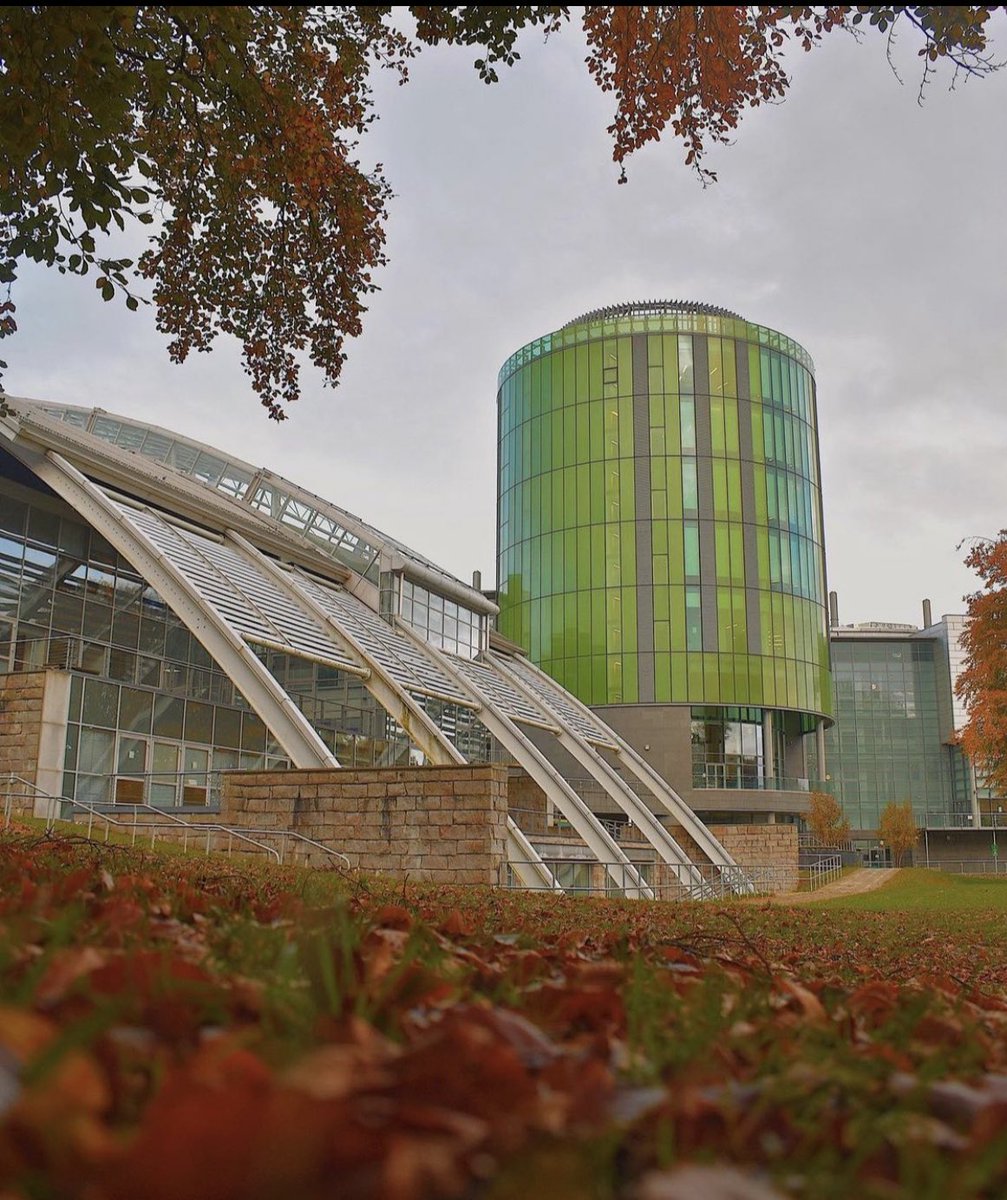 Katie Anderson tweet media