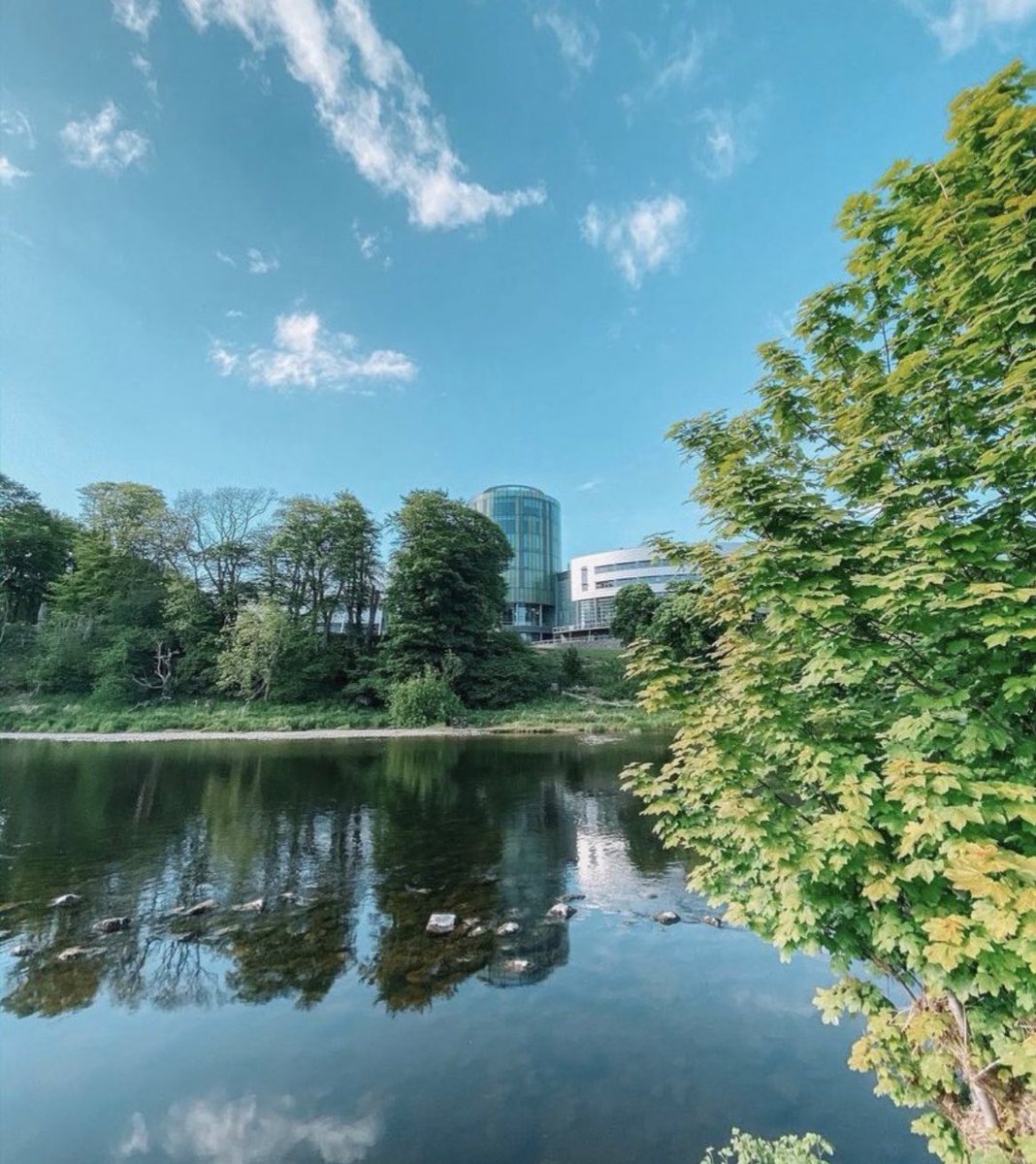 Katie Anderson tweet media