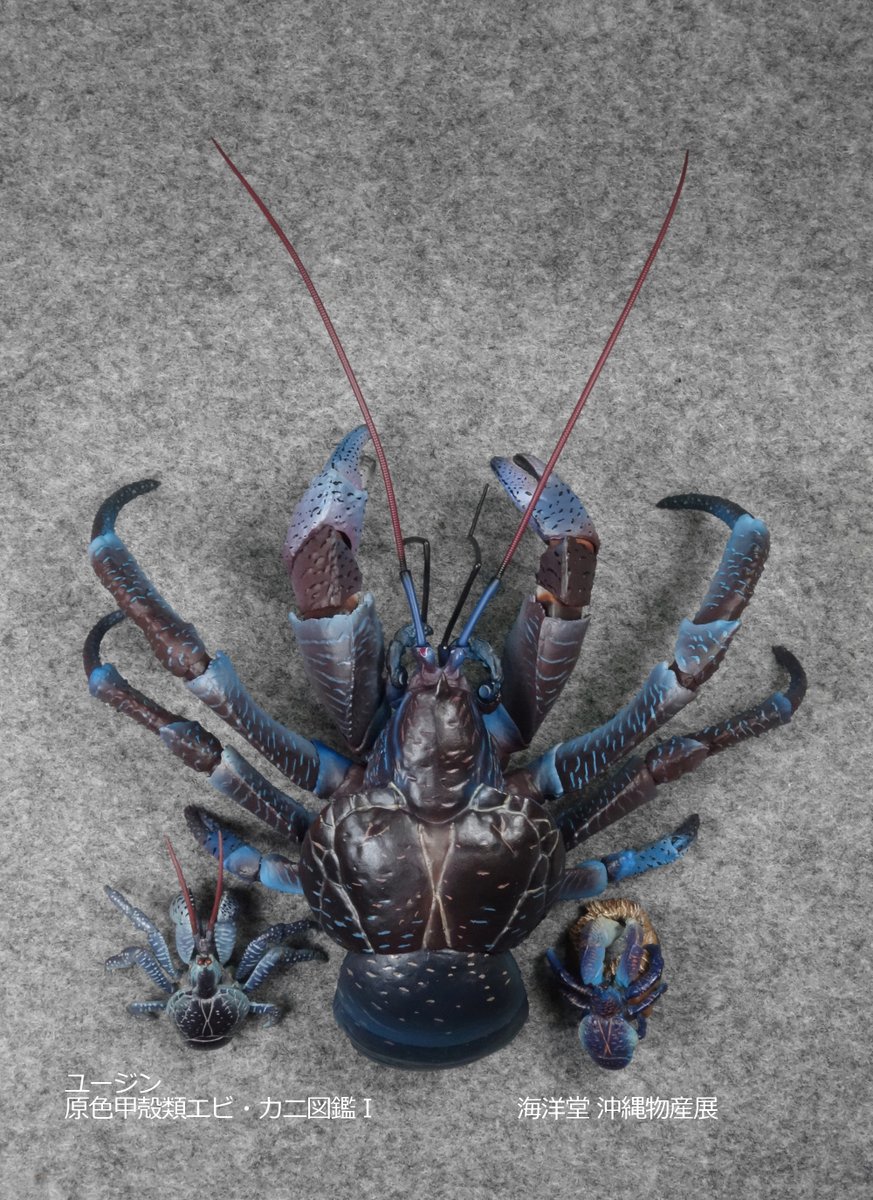 プレミアムバンダイ いきもの大図鑑プレミアム ヤシガニ（7700円