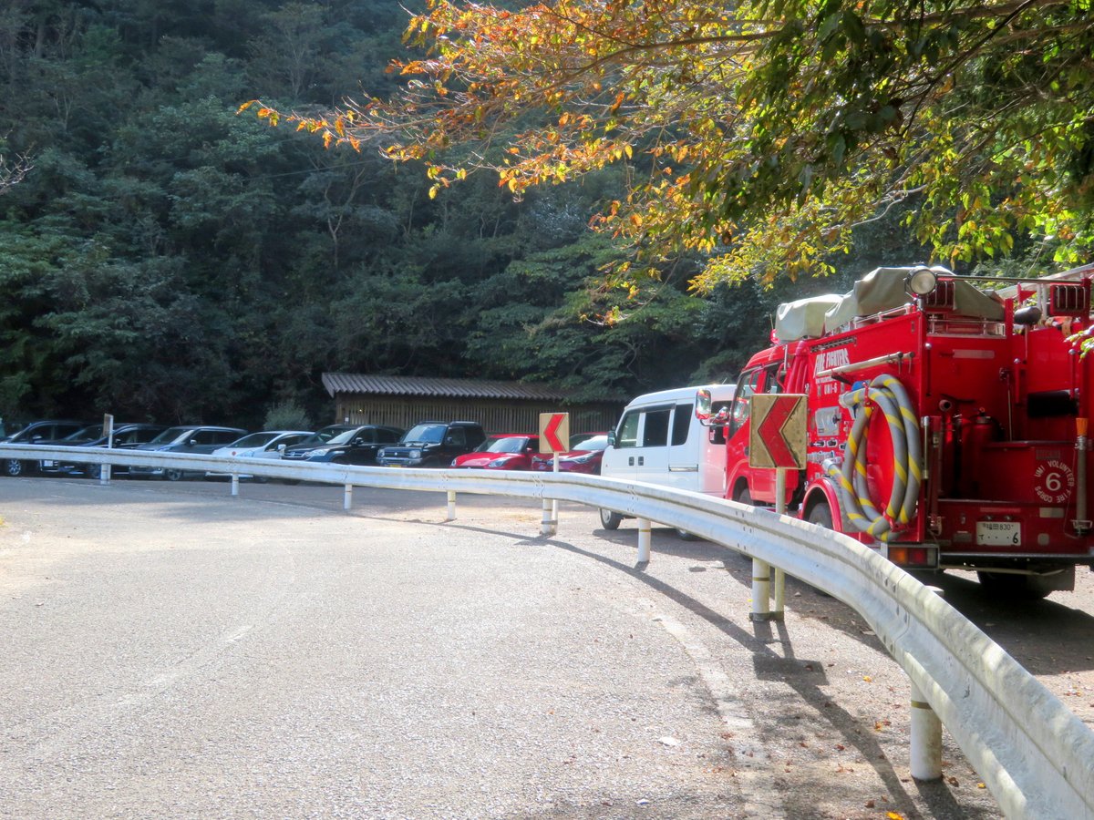 四王寺県民の森 tweet media