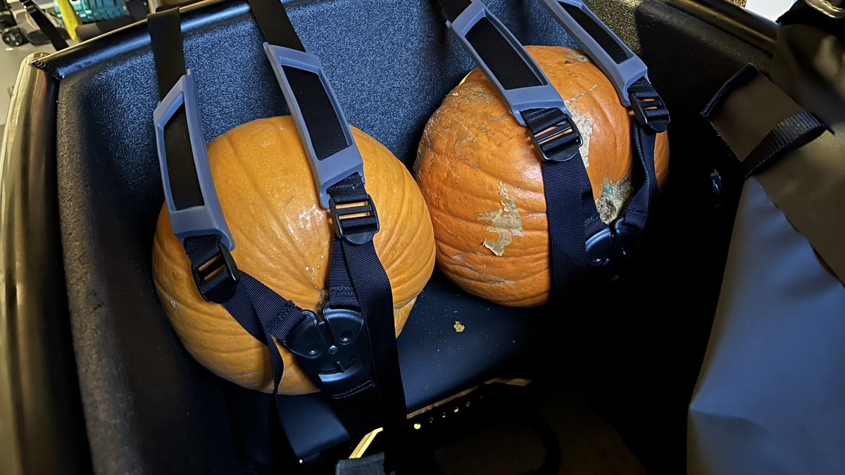 Turns out that the seatbelts in the #urbanarrow family are also perfect for carrying pumpkins 🎃😂

#cargobike #Halloween