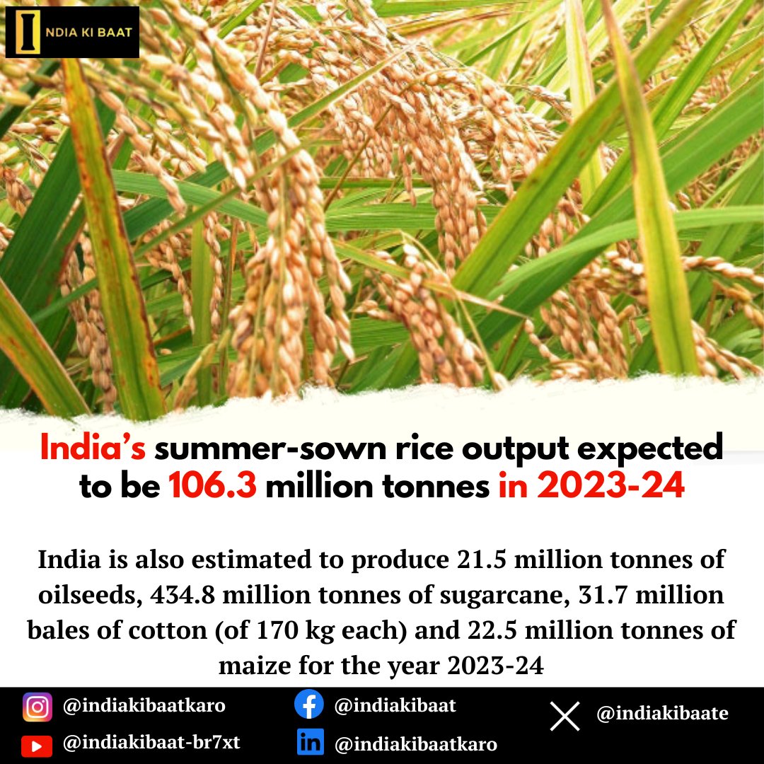 India’s summer-sown rice output expected to be 106.3 million tonnes in 2023-24
#indiakibaat
#AUSvsNZ 
#ये_भारत_का_टाइम_है 
#ProudFathersForDaughters 
#ValmikiJayanti 
#AspireAtIMC2023 
#HamasislSIS 
#BBKingBabuBhaiya 
#AttackOnTitan 
#DeathThreat