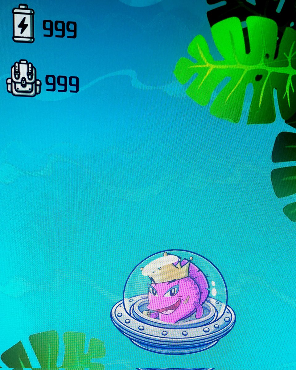 _AimlessFish's tweet image. 🤔🐟