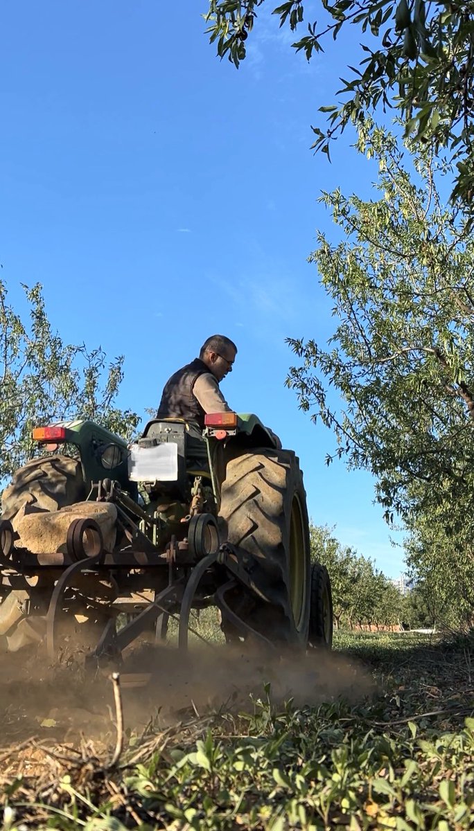 jmcruset's tweet photo. Avui toca canviar l’ordinador pel tractor.
#llaurar #ametllers #cosesdelmas https://t.co/h6Vu9MC7WI
