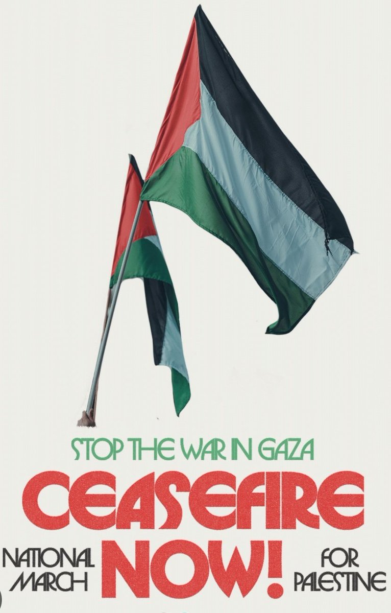 International #FreePalestine demonstrations and protests taking place today, 28th October 2023

 🧵 with meeting place and time