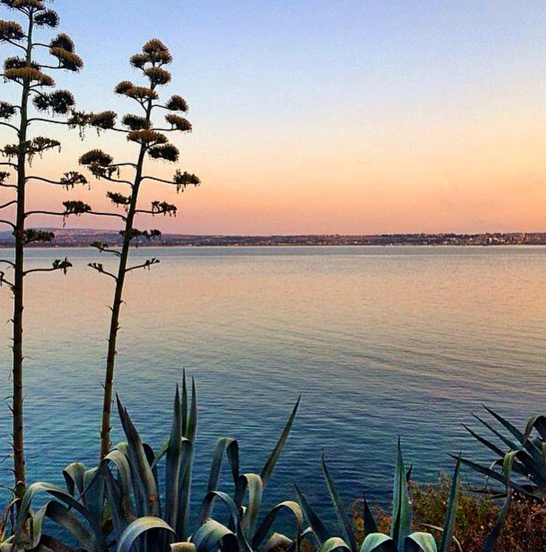 Romance d’un matin sicilienne...
<a href="/Learn_Sicilian/">Learn Sicilian</a> <a href="/VisitSicilyNow/">Visit Sicily Now</a> <a href="/YourOwnItaly/">YourOwnItaly</a> 📷<a href="/Manuvi_/">Manu_Ela</a>