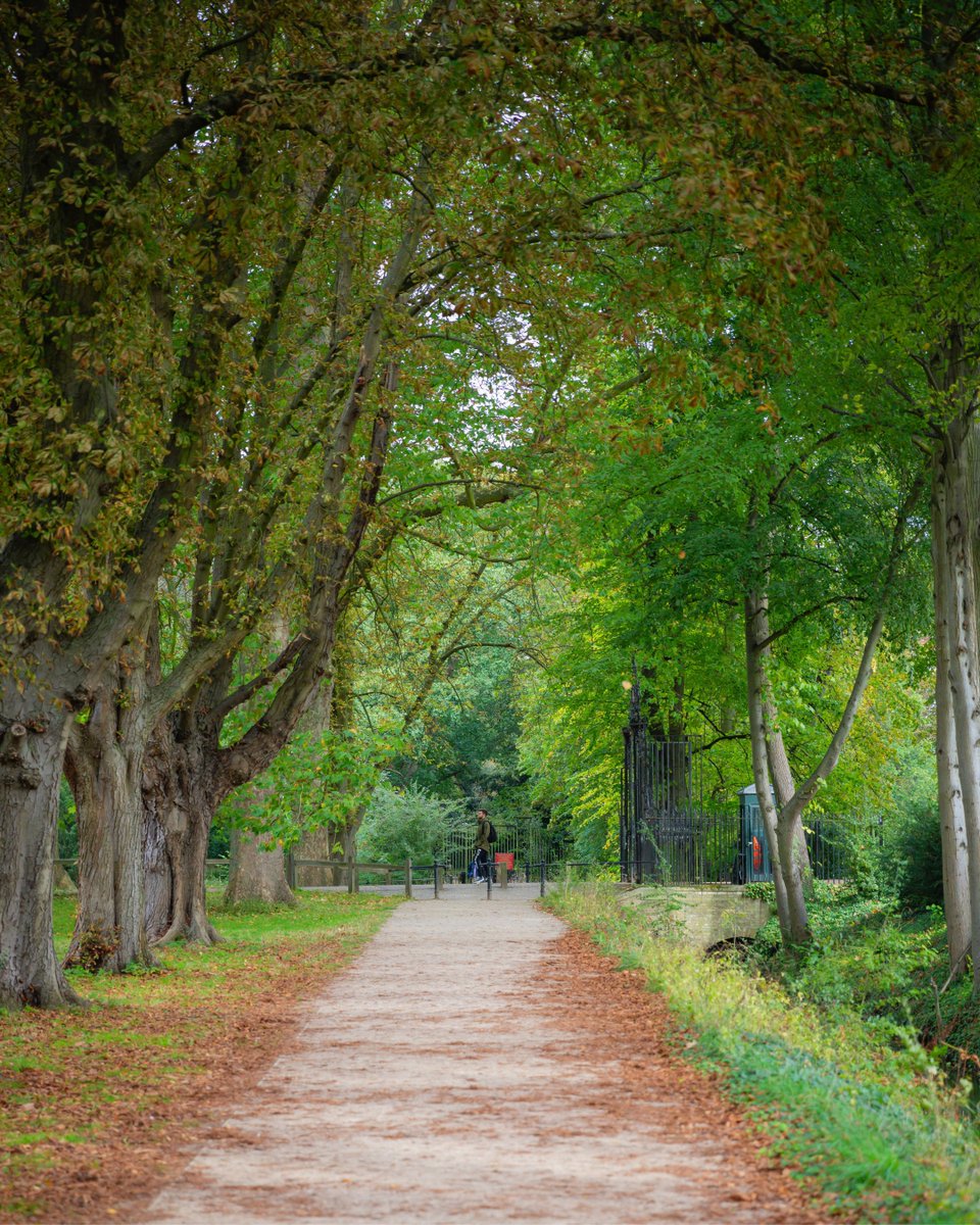 Cambridge University tweet media