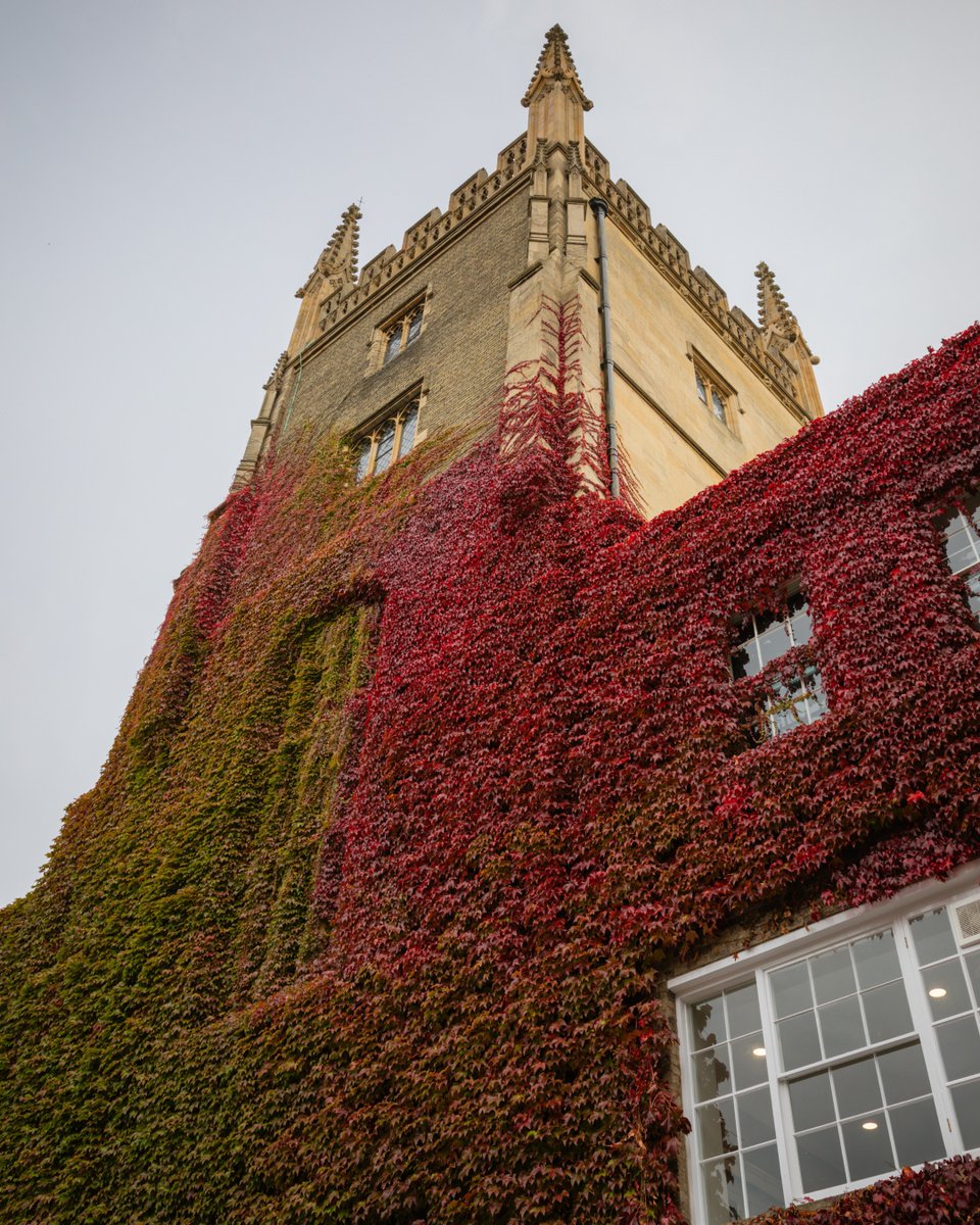 Cambridge University tweet media