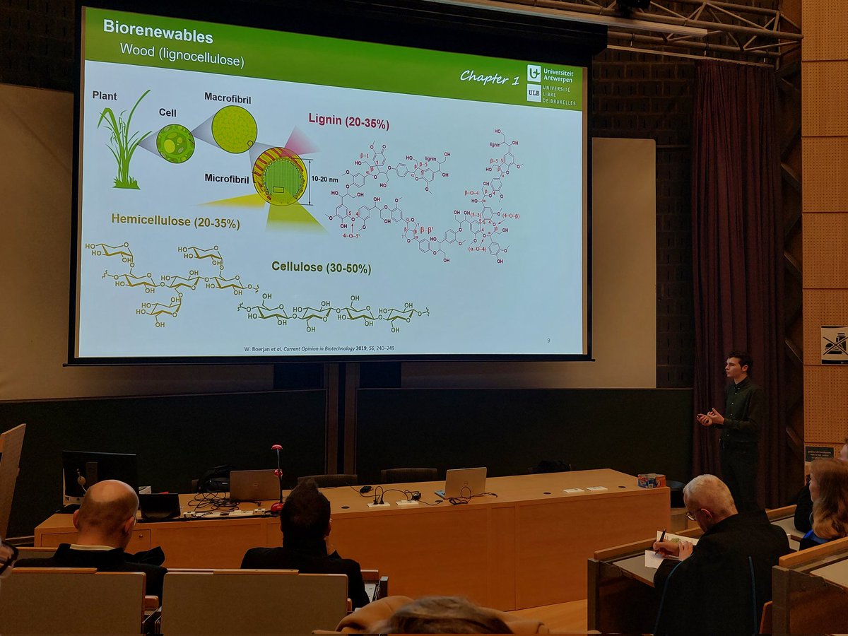 Gilles De Smet successfully defended his PhD dissertation entitled ‘Transition metal catalyzed C-O bond activation in biomass derived building blocks’. Joint PhD between the Maes (UAntwerp) and Evano (ULB) group. Congratulations Dr. De Smet!