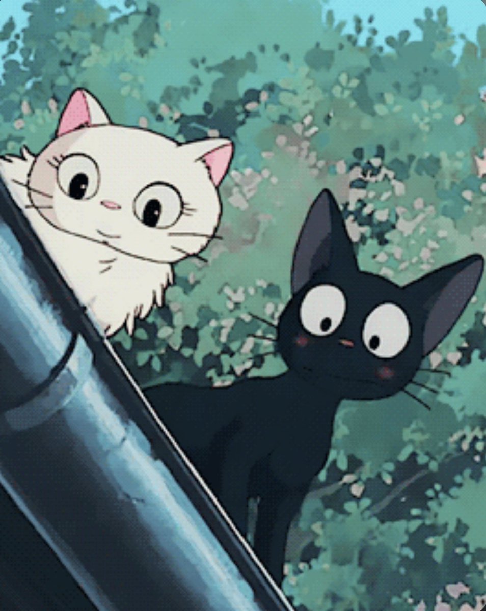 fendonacci's tweet image. meine frau und ich