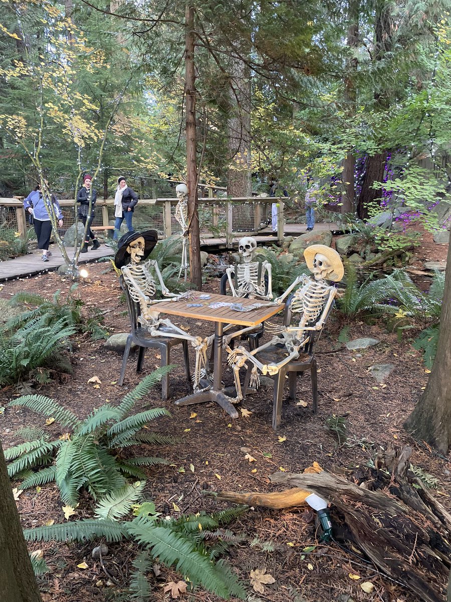 v_appalaneni's tweet photo. Vancouver was an absolutely gorgeous setting - plus they love Halloween 👻 https://t.co/xrVKSnv5MT