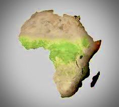 Quentin Walcott tweet media