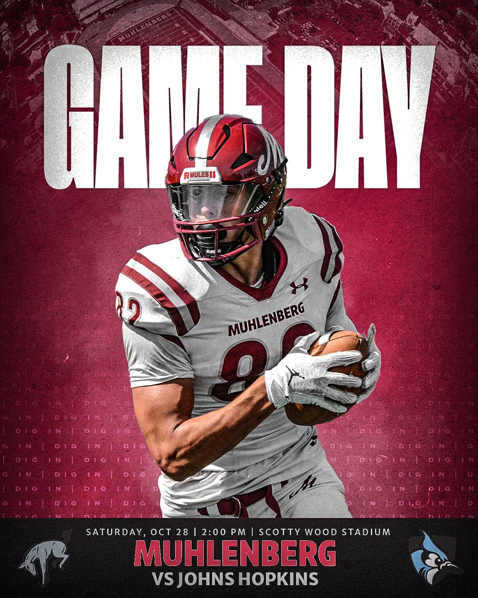 DigInMules's tweet image. #ChampionshipClimb