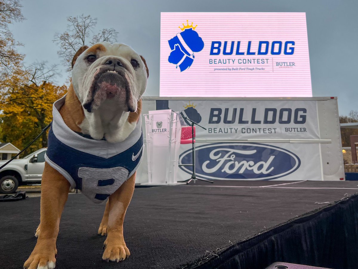 TheButlerBlue's tweet photo. I am very sad to miss the #ButlerHoco festivities today, but I have given my paw of approval for the setup for the Butler Bulldog Beauty Contest presented by Built Ford Trucks.
Live stream: https://t.co/JI000KKh41 https://t.co/V4rImsE9Jt