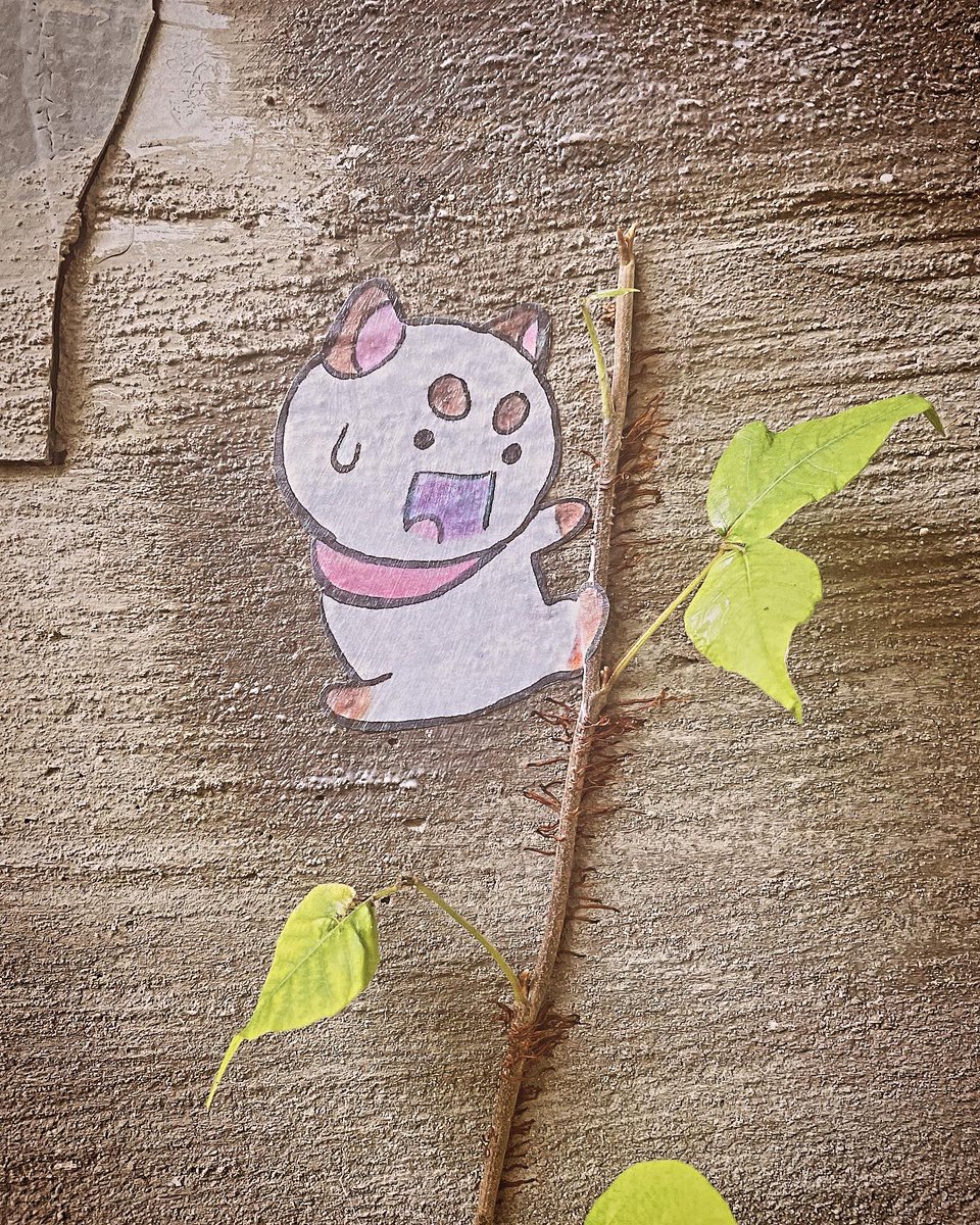 nat (@natazilla) on Twitter photo 