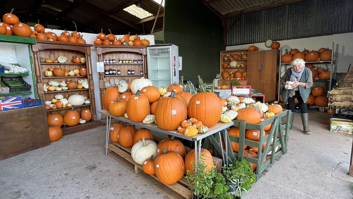 The most amazing selection of pumpkins available at the Glanusk Farm Shop, run by our neighbours, the lovely Joyce and her family 🎃 

#supportlocal #pumpkins #welshfarming #Halloween2023 #llanvairkilgeddin #farmshop #britishfarming #glanuskfarm