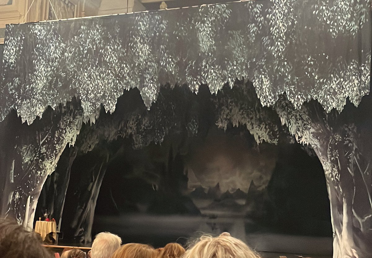 FelixtheBandit_'s tweet photo. I have once again dragged someone to watch Ballet with me ✌️✌️✌️✌️ https://t.co/euP2O0rieJ