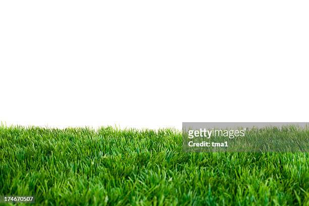 Be sure to touch some grass today it's nice outside