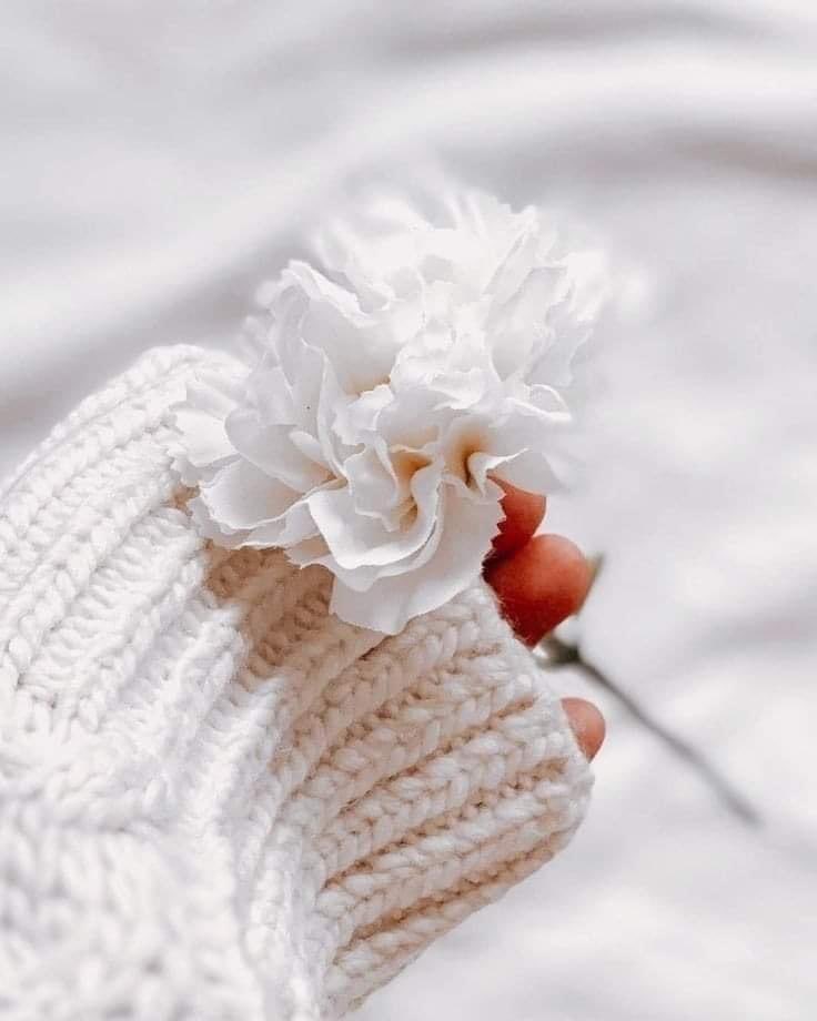 الأشيــاء التي يكشفها لـگ الله،  
إياك أن تبحث لها عن مُبررات. 
💖